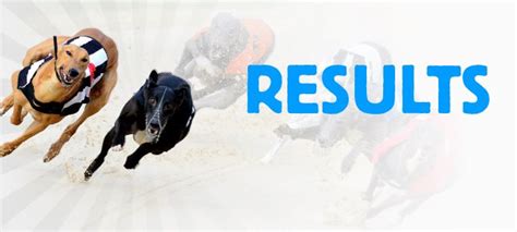 racing post greyhound results today|Greyhound Bet .